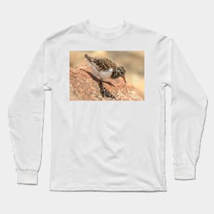 Oystercatcher Chick 02 Long Sleeve T-Shirt